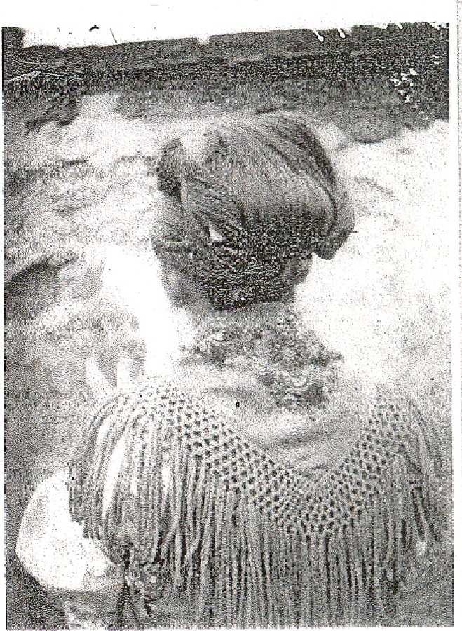 Dunakeszi női hajviselet hátulról